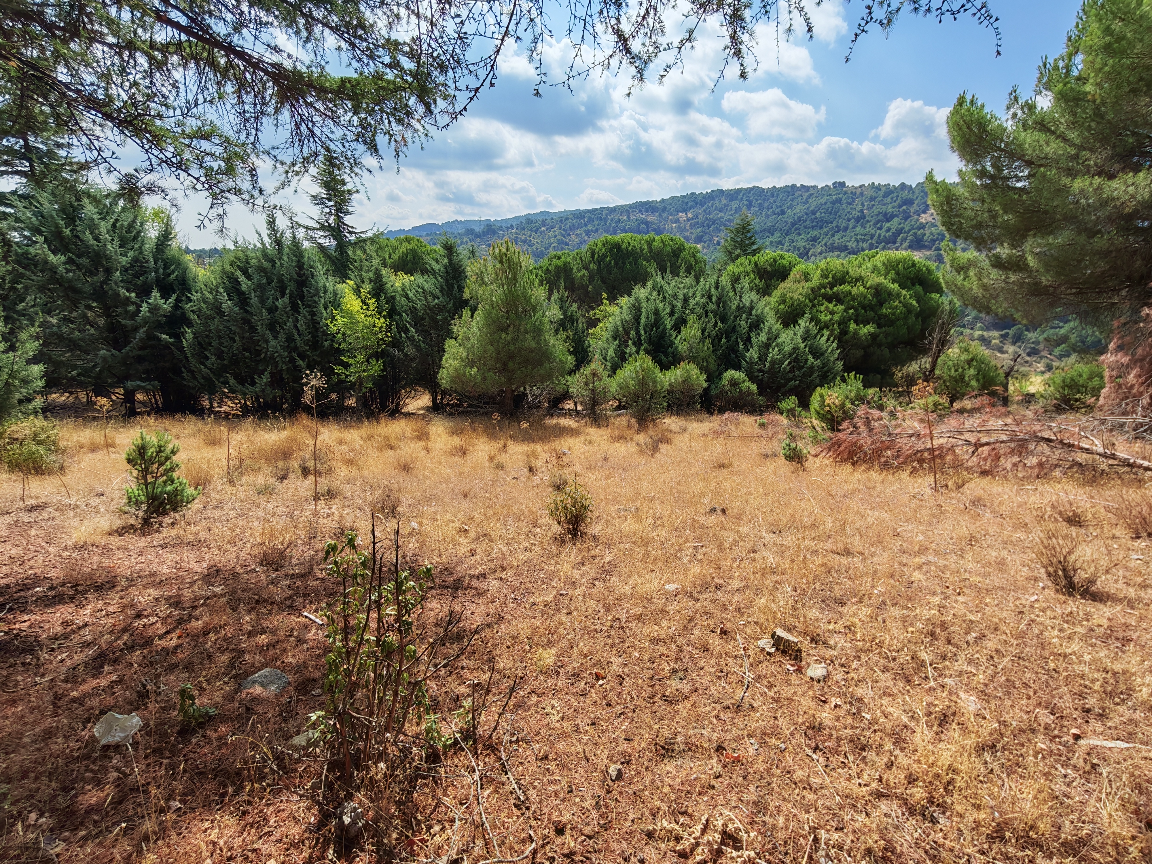 Rural land in Collado Mediano with a house to renovate