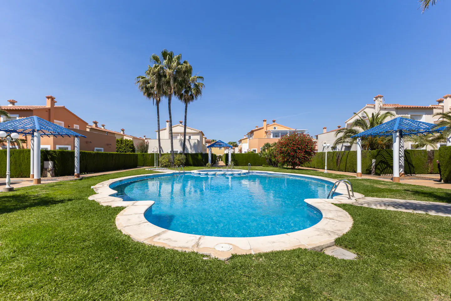 A bright blue swimming pool sits on green grass, surrounded by houses and palm trees under a clear blue sky.