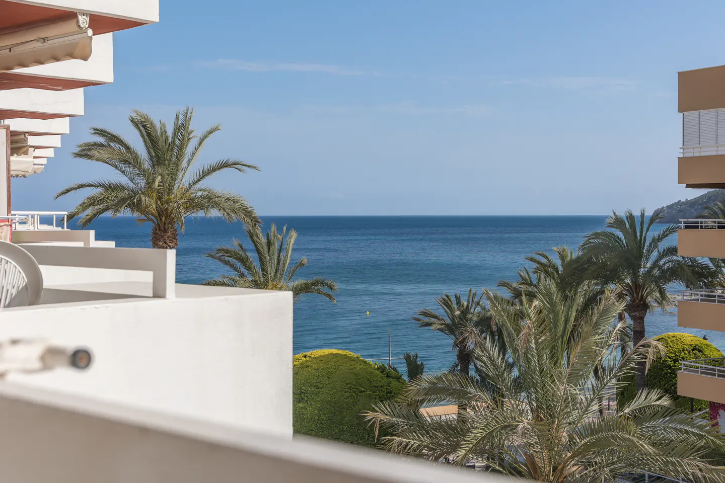 View from a white balcony with palm trees overlooking the blue ocean and sky.