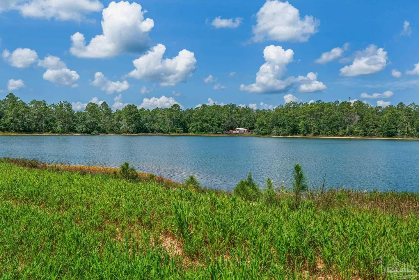 Lake view property with green grass in foreground, blue water, trees, and blue sky with white clouds.