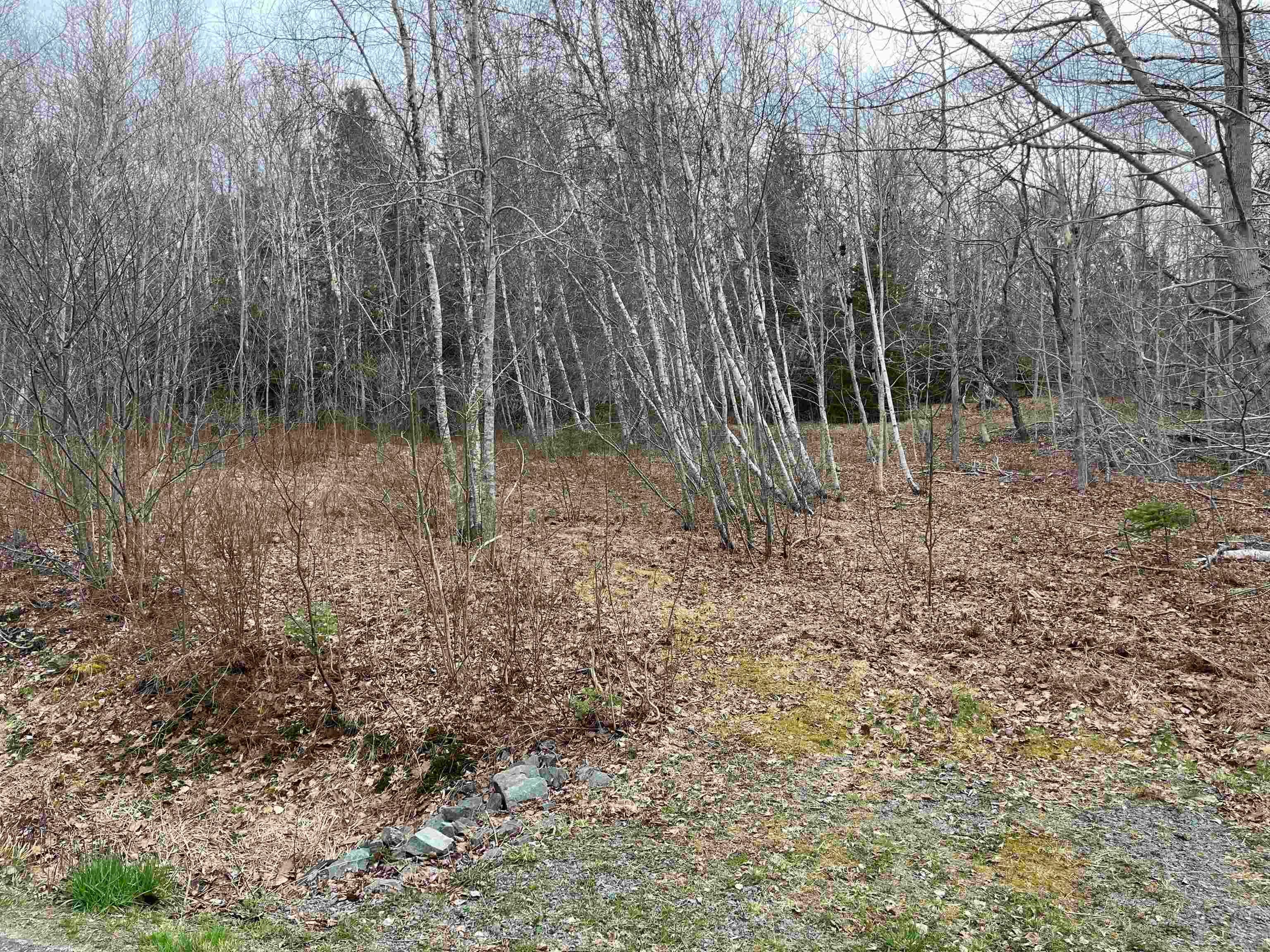 Builder Opportunity: 4.9 Acres Minutes from Bridgewater