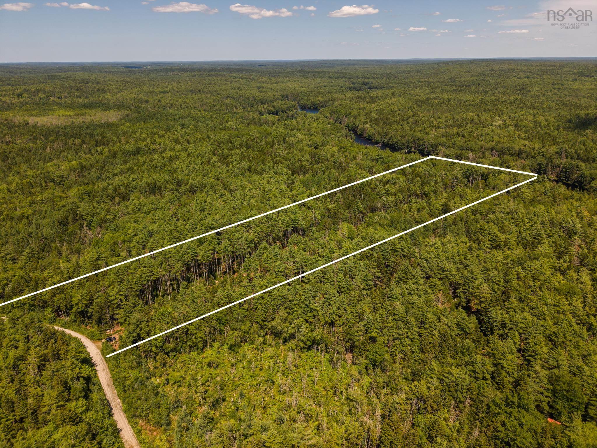 8.55 Acres Of Privacy And Natural Beauty