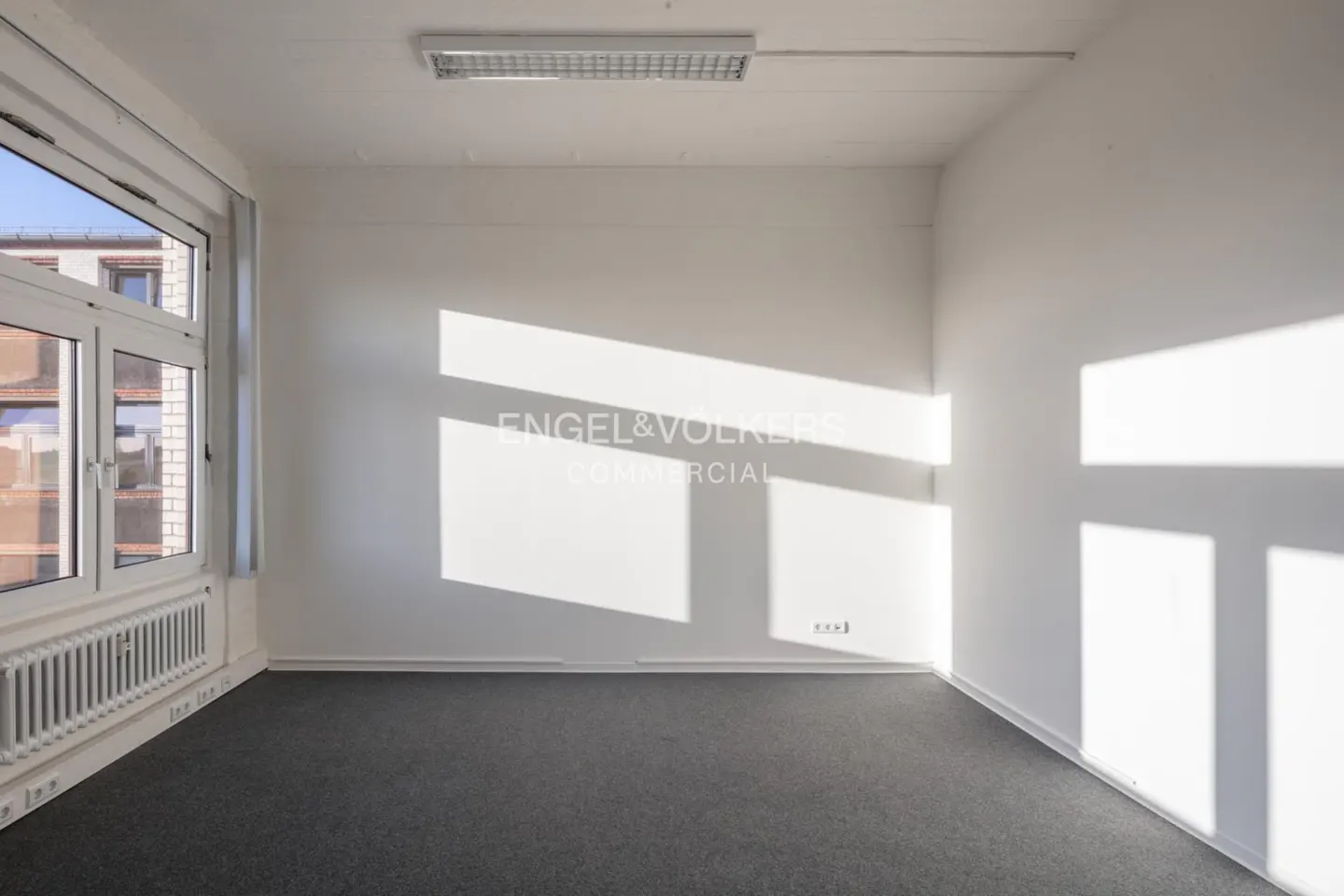 Bright, empty office space with gray carpet, white walls, and a large window with sunlight streaming in.