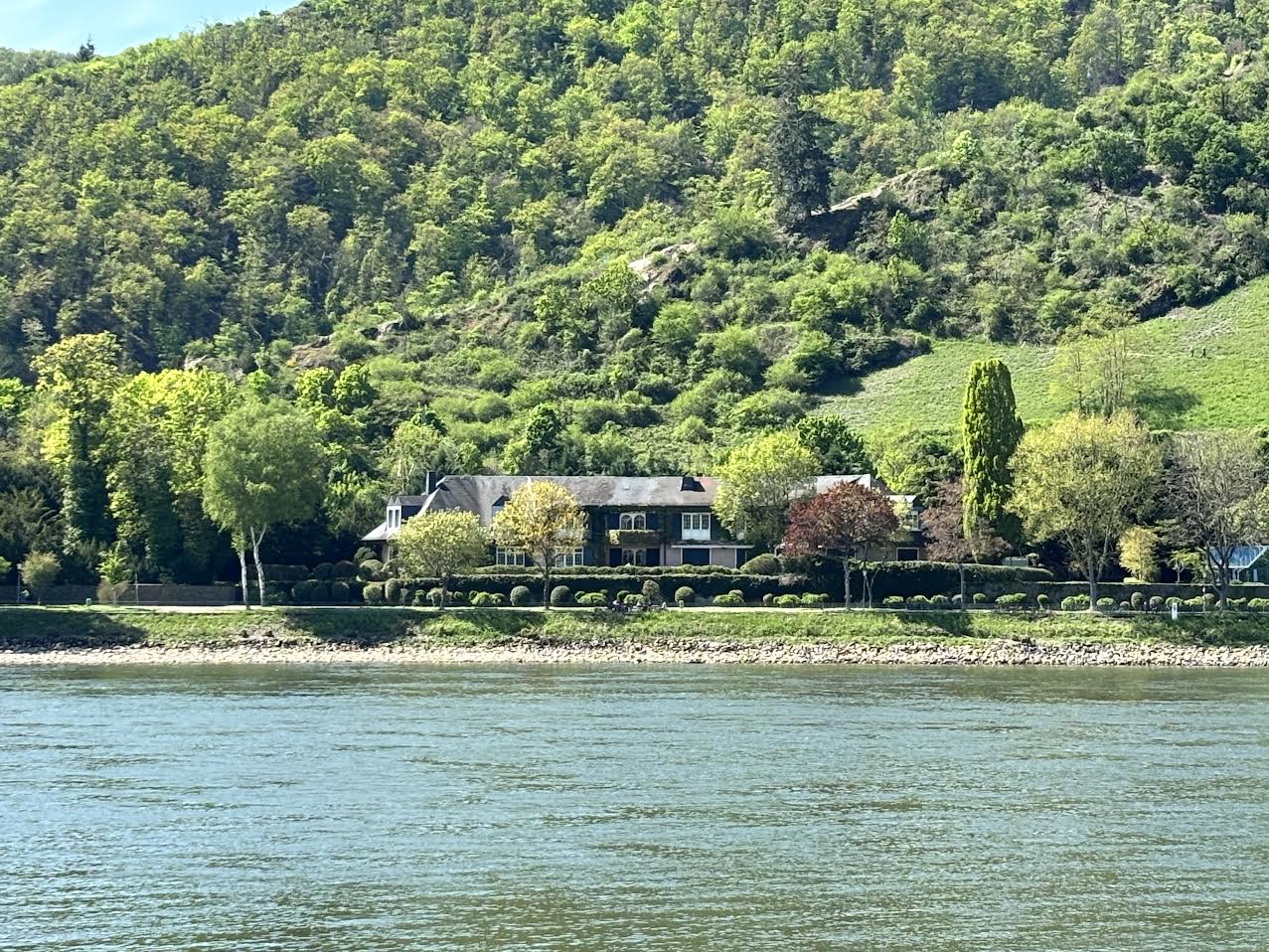 Architektonisches Juwel am Mittelrhein - Exklusive Villa in erster Rheinlage mit Panoramablick aufs Wasser