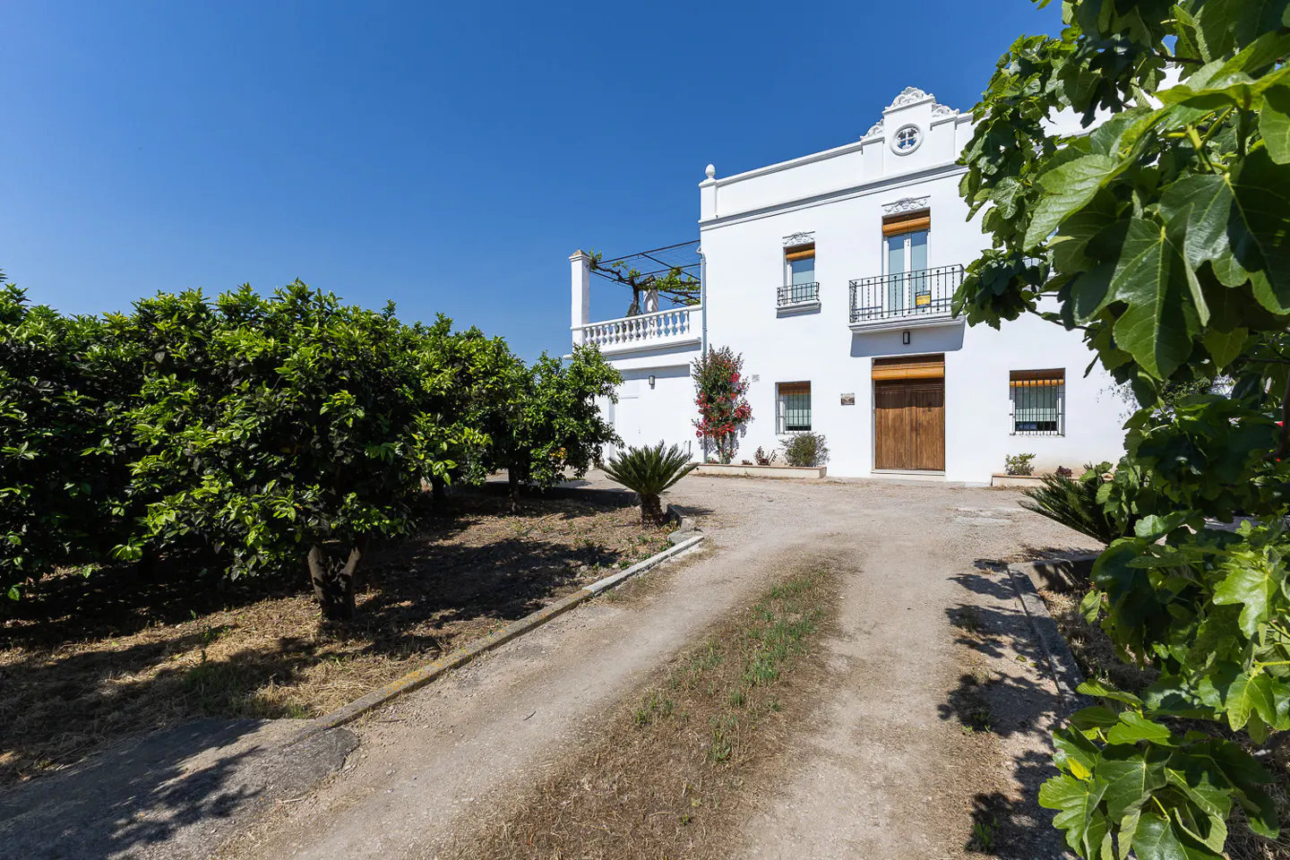 Exterior of a two-story white house with a brown door, balcony, and trees under a blue sky.