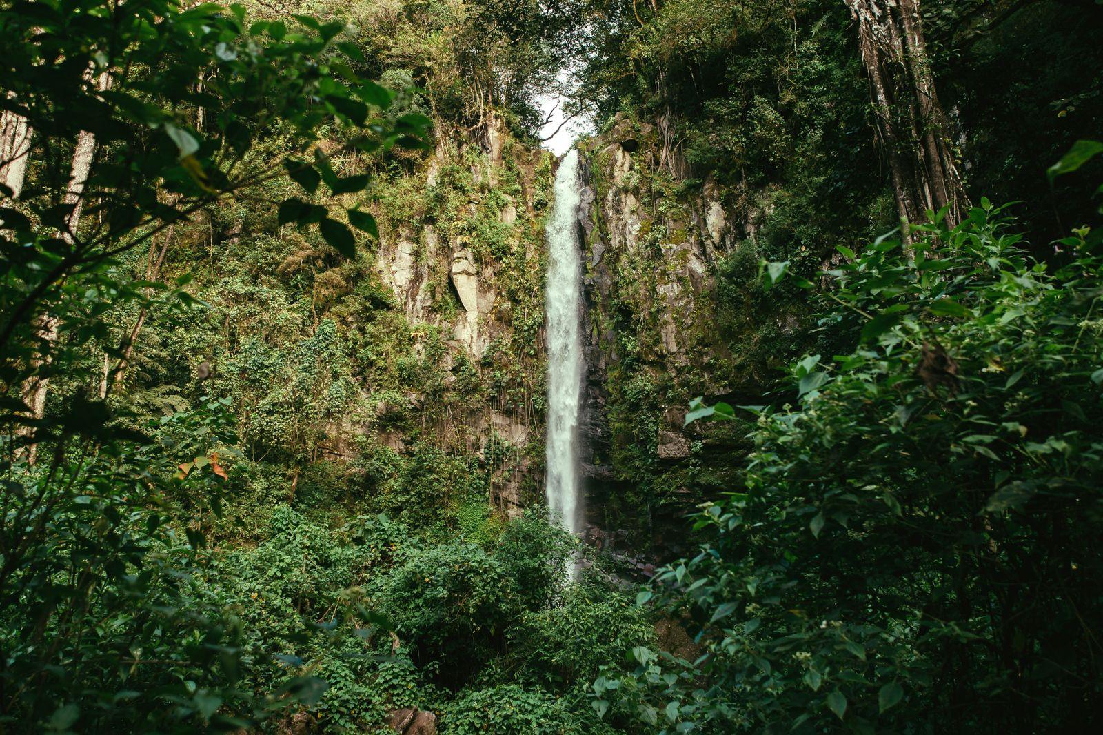 World-Class Coffee Estate & Eco-Luxury Landholding