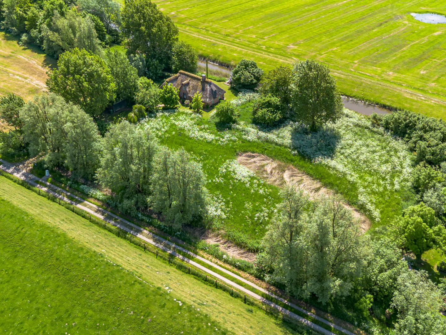 Aerial view of a thatched-roof cottage nestled among lush green trees and wildflowers, bordered by a rural path and fields.