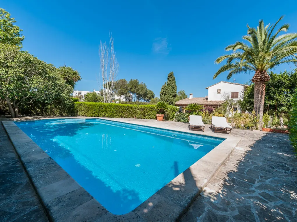 A rectangular blue swimming pool with stone decking, two lounge chairs, a palm tree, and a house under a clear blue sky.