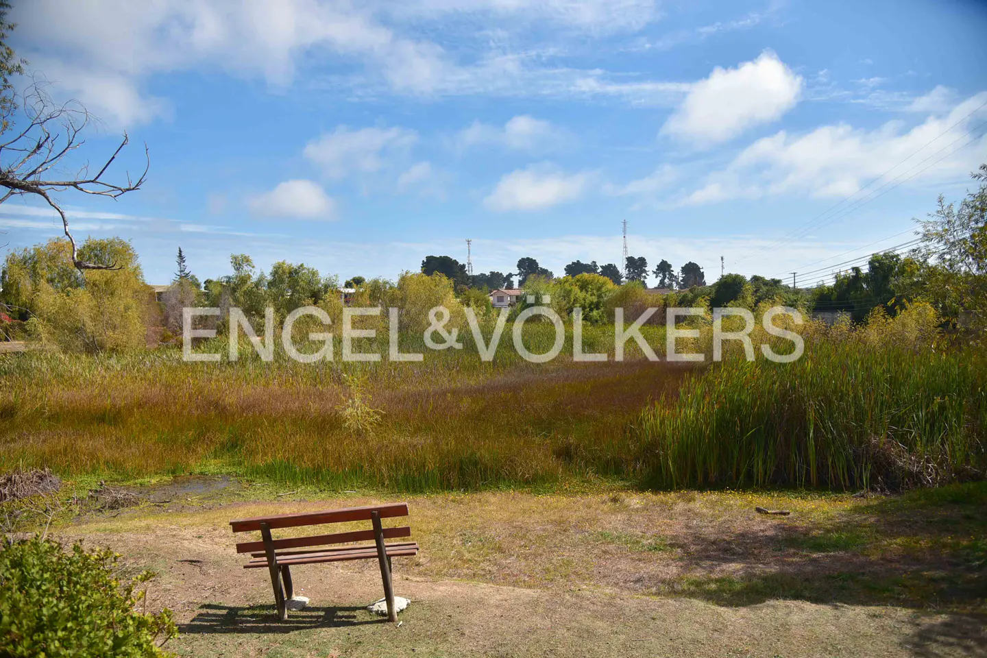 A landscape view of a field with tall grass and a wooden bench in the foreground, under a blue sky with white clouds.