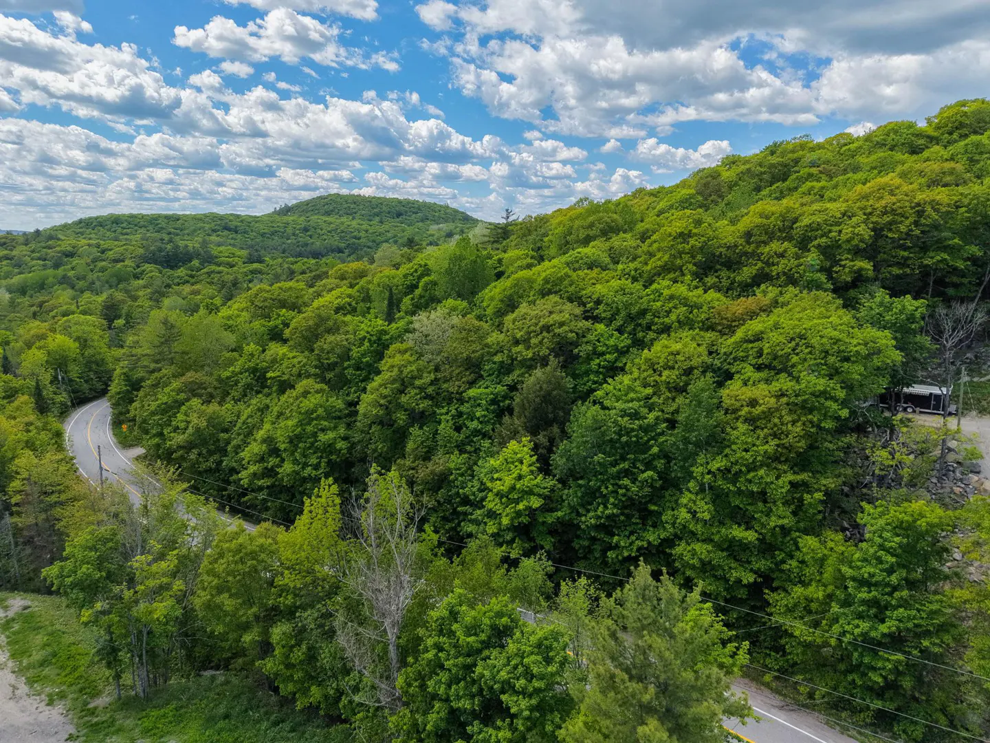 Aerial view of a winding road cutting through a lush, green forest under a bright blue sky with scattered white clouds.