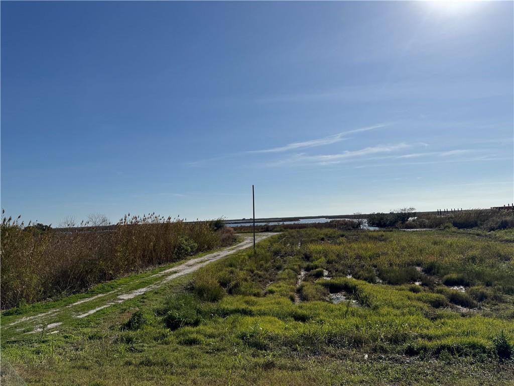 A dirt path winds through a grassy, marshy landscape under a clear blue sky, leading toward a distant body of water. [AI-generated text]