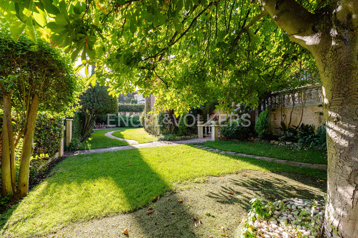 Lush green lawn with stone path winding through trees and bushes. Sunlight filters through leaves, creating shadows on the grass.