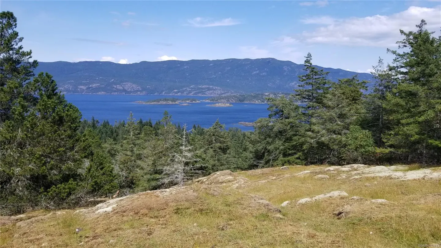 Scenic view of blue ocean water and islands, framed by green trees and grassy foreground under a partly cloudy sky.