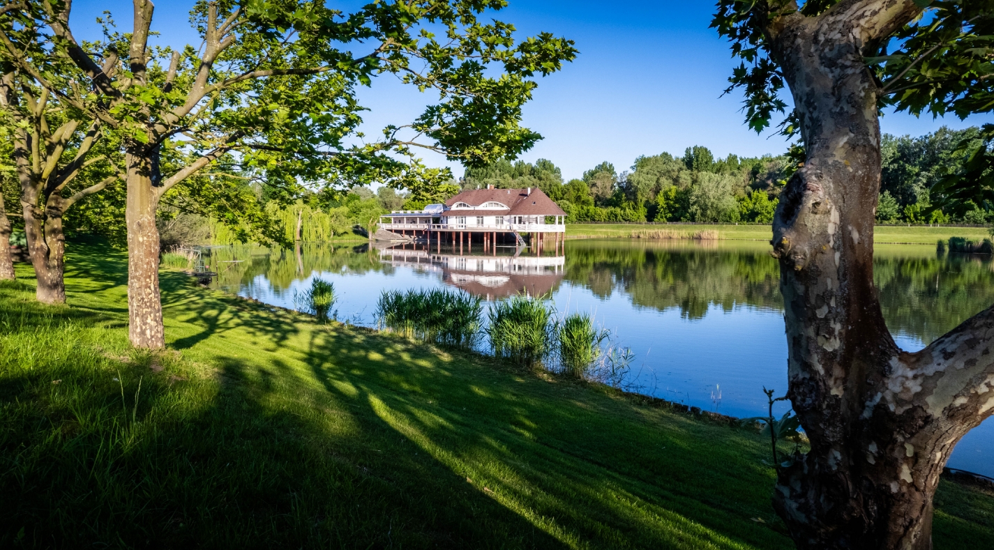 By the Shores of Lake Tisza