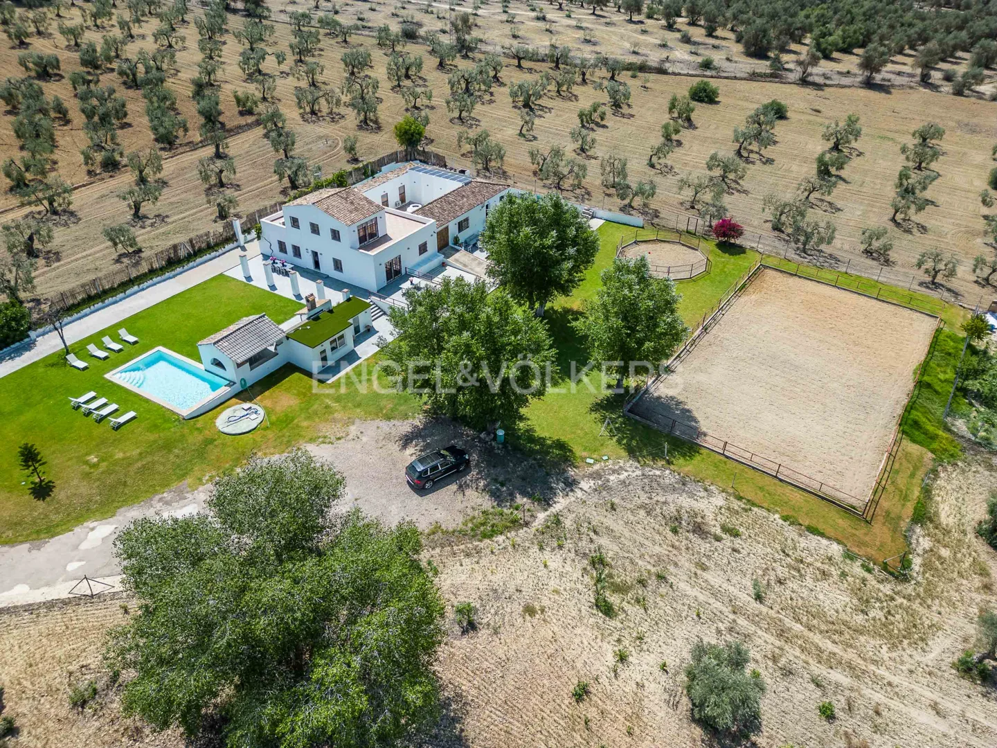 Oasis of peace amidst an olive grove in Espartinas