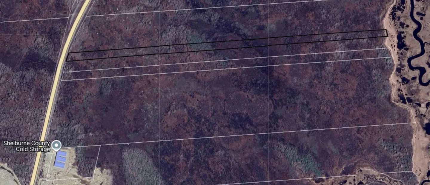 Aerial view of a wooded land parcel outlined in black, bordered by a highway on the left and a winding river on the right.