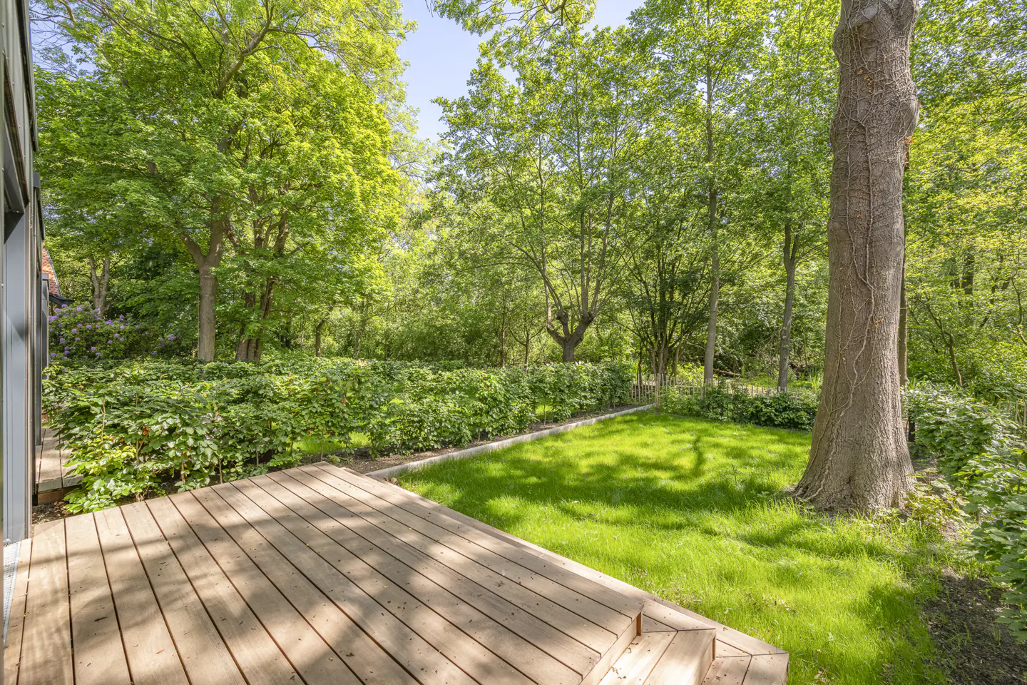 Wooden deck overlooks a green lawn and lush trees. A large tree trunk stands near the lawn's edge.