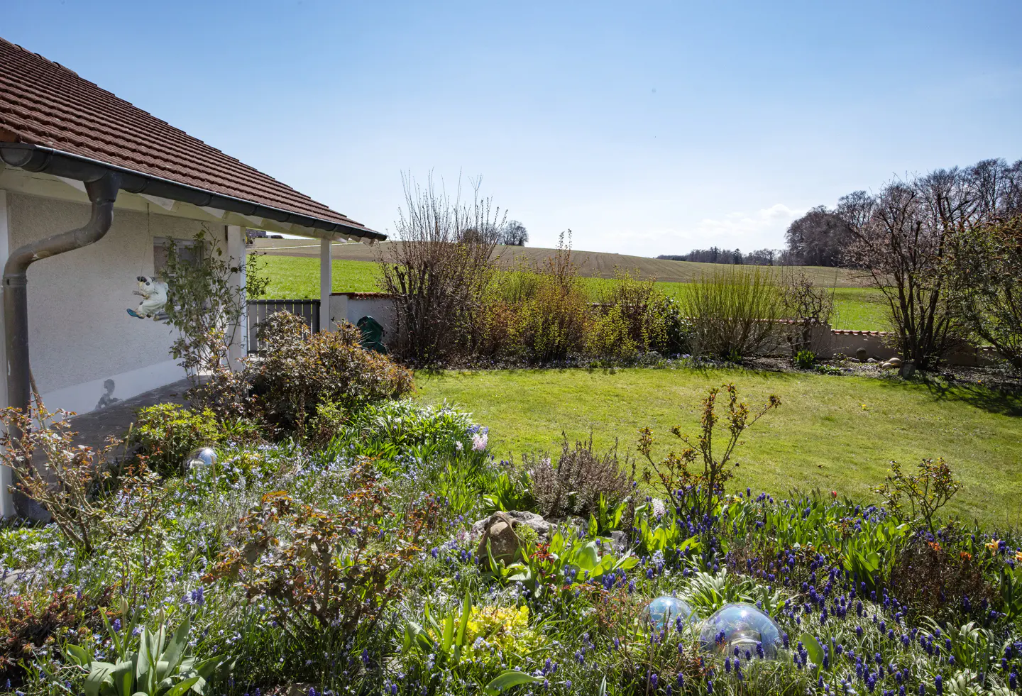 A sunny garden view with a white house, green lawn, and colorful flowers.