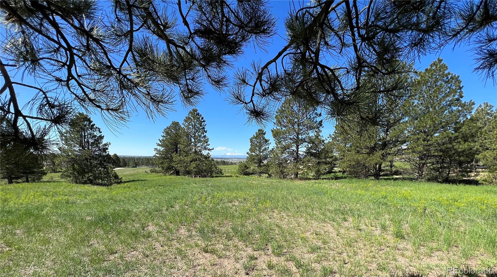 Magnificent Views of Pikes Peak and The Front Range