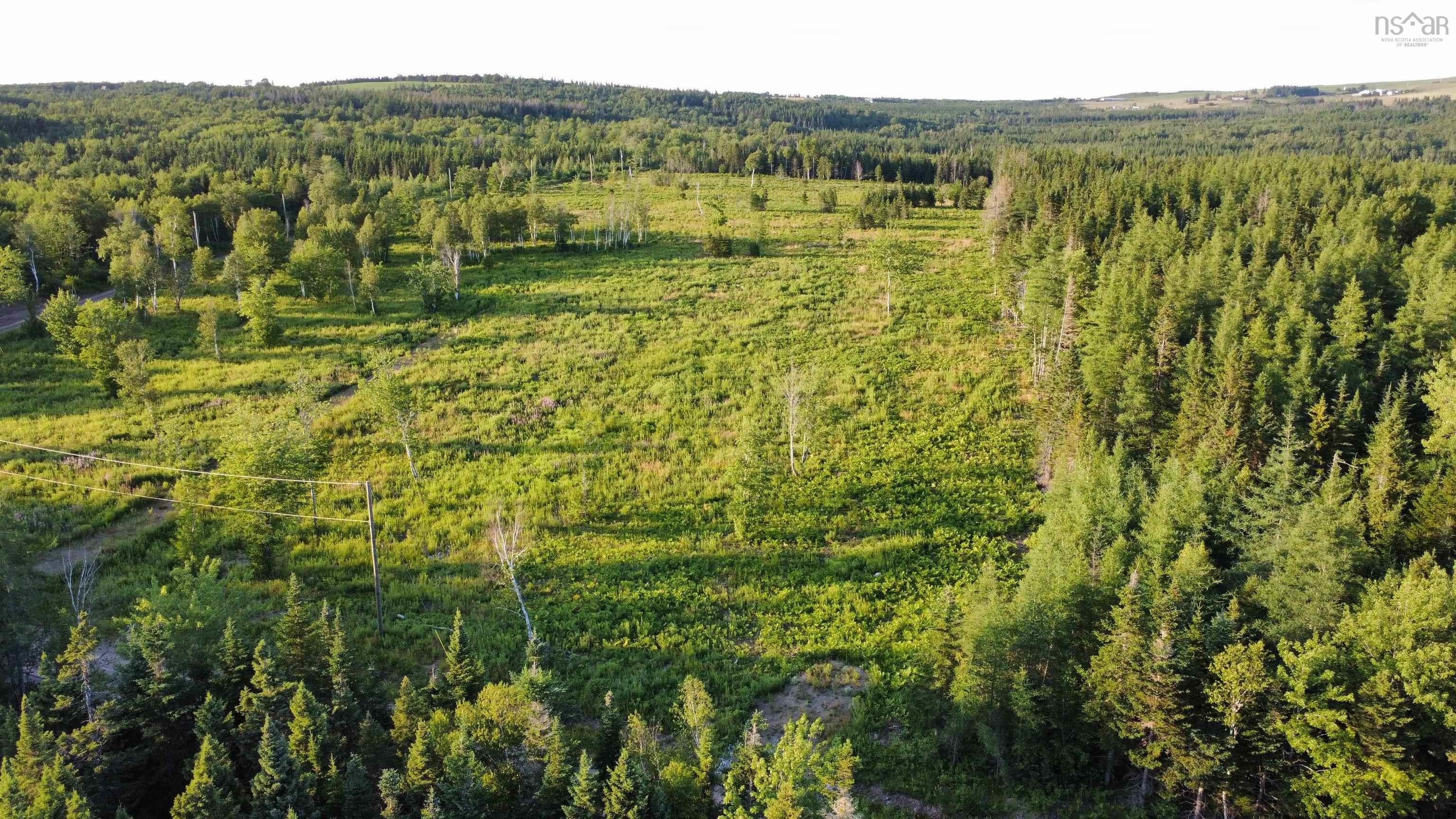 Surveyed 2.13-acre build-ready lot minutes from Mabou