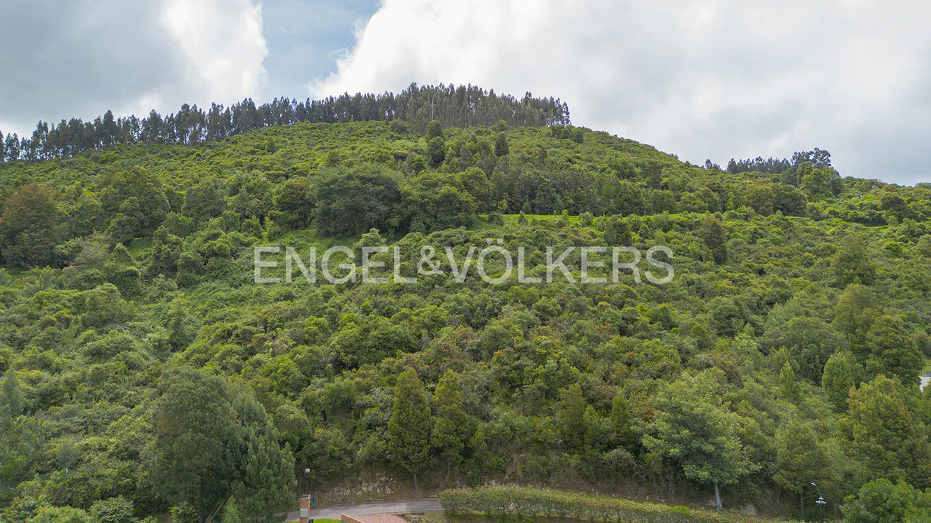 Lush green hillside covered in trees under a cloudy sky, with Engel & Volkers logo.