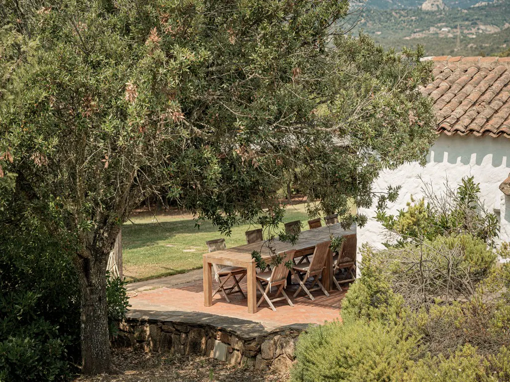 Outdoor dining area with a long wooden table and chairs under a large tree, next to a white building with a terracotta tile roof.