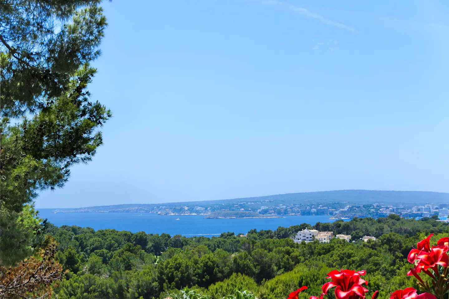 View of a blue sea and distant coastline framed by green trees and bright red flowers under a clear blue sky.