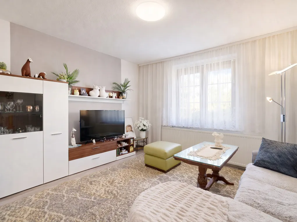 Living room with white walls, a large window with sheer curtains, a TV, and a patterned rug.