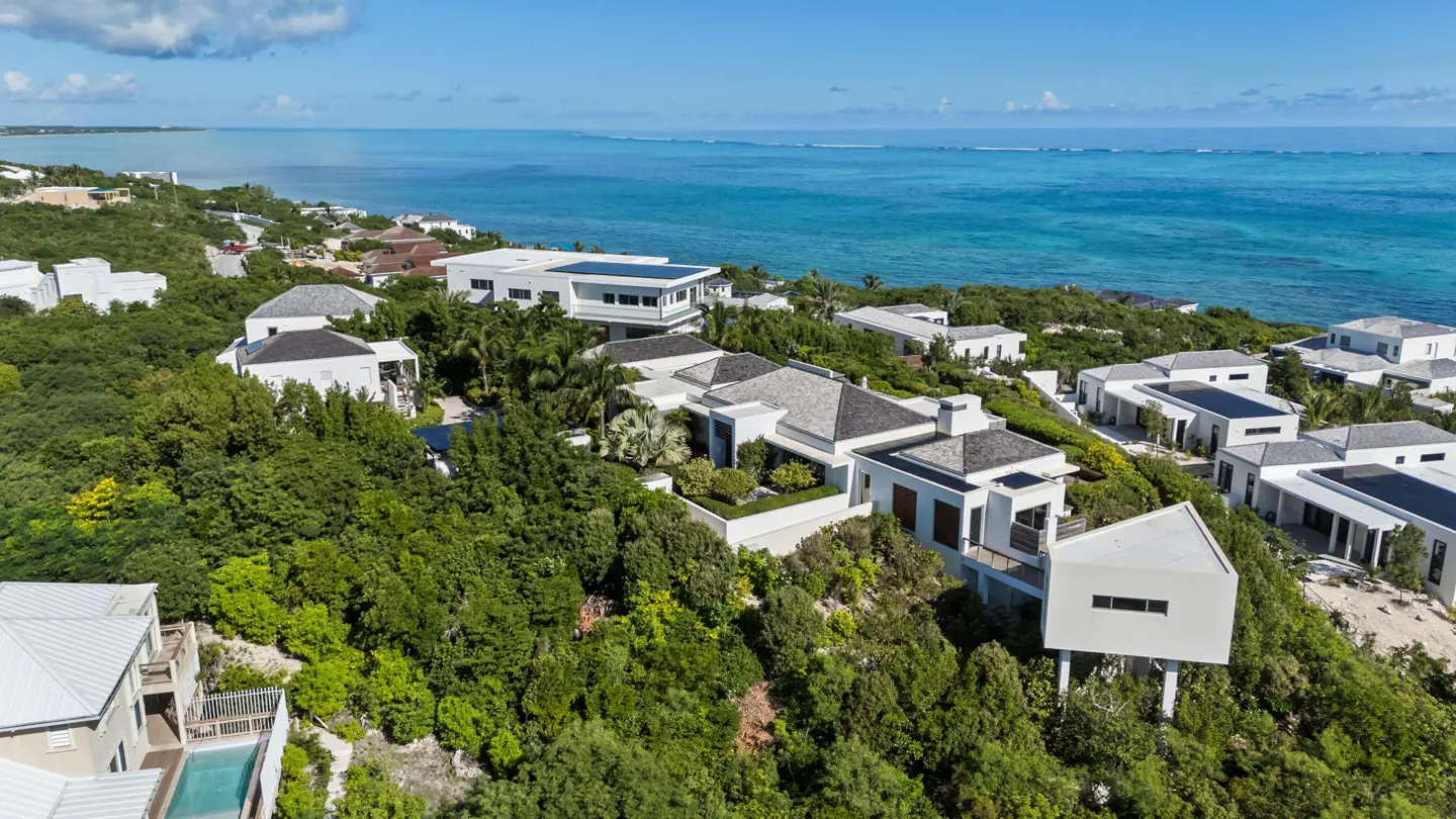 Aerial view of modern white houses with gray roofs nestled in lush green trees near a turquoise ocean under a blue sky.
