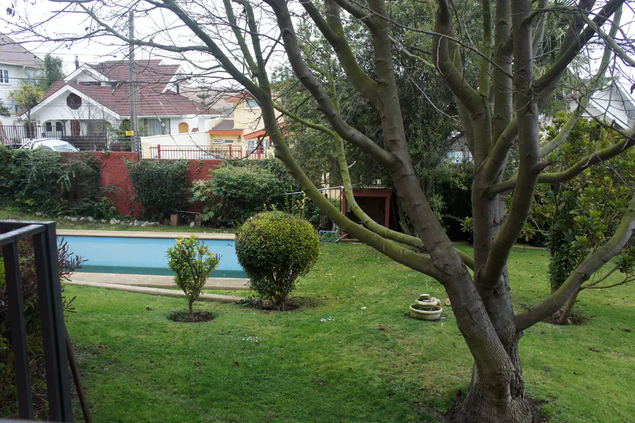 Backyard view with a pool, green lawn, and a large tree in the foreground. Houses are visible in the background.