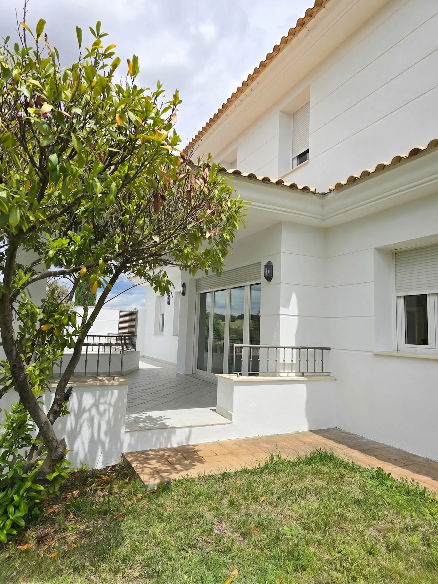 [AI-generated photo]