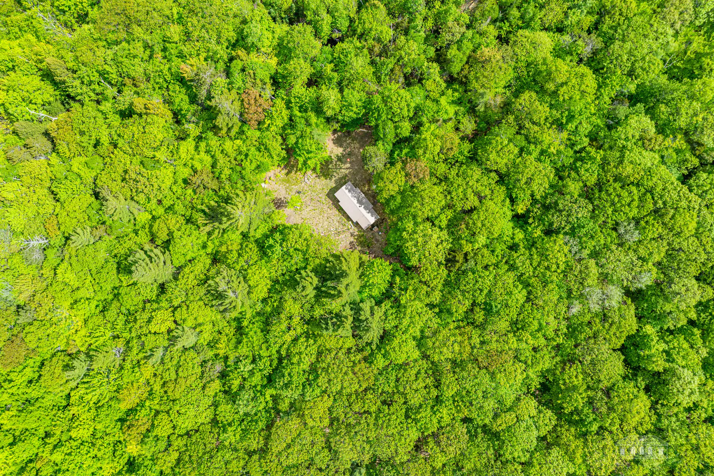 Aerial view of a small rectangular cabin nestled in the center of a dense, vibrant green forest.