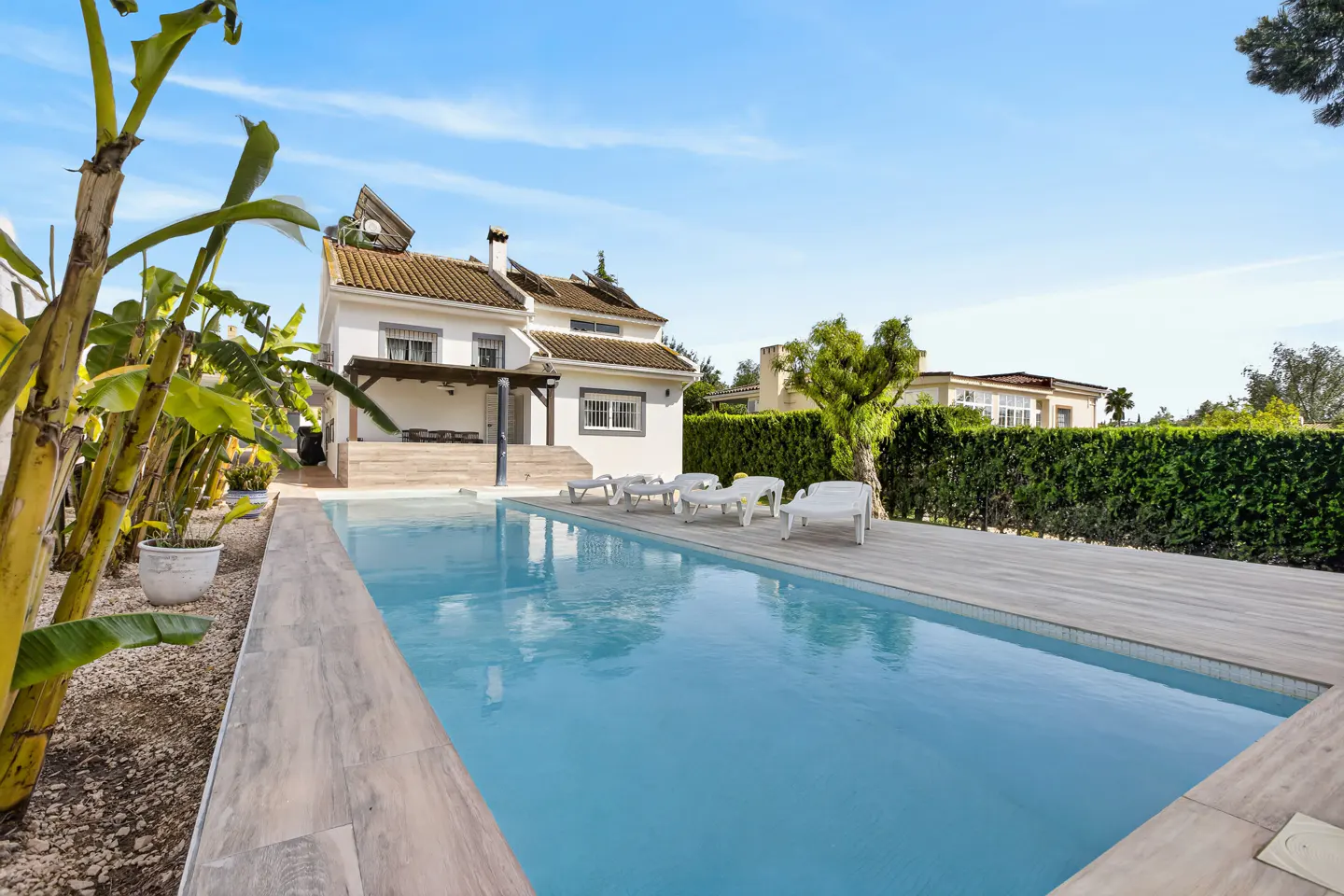 A rectangular pool with clear blue water in front of a white house with lounge chairs. Banana trees are on the left.