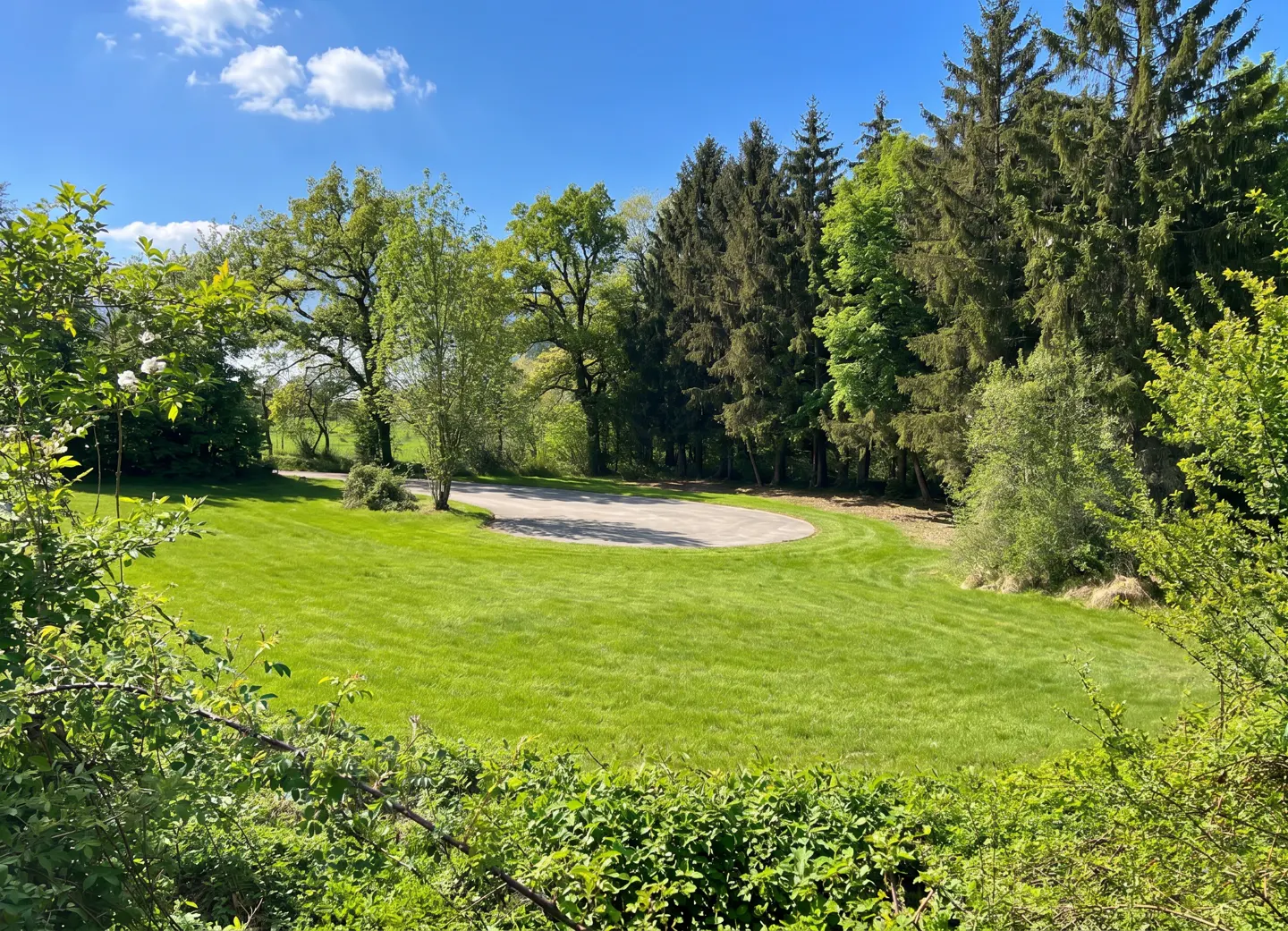 Lush green lawn with a circular concrete pad, surrounded by trees under a blue sky with scattered clouds.