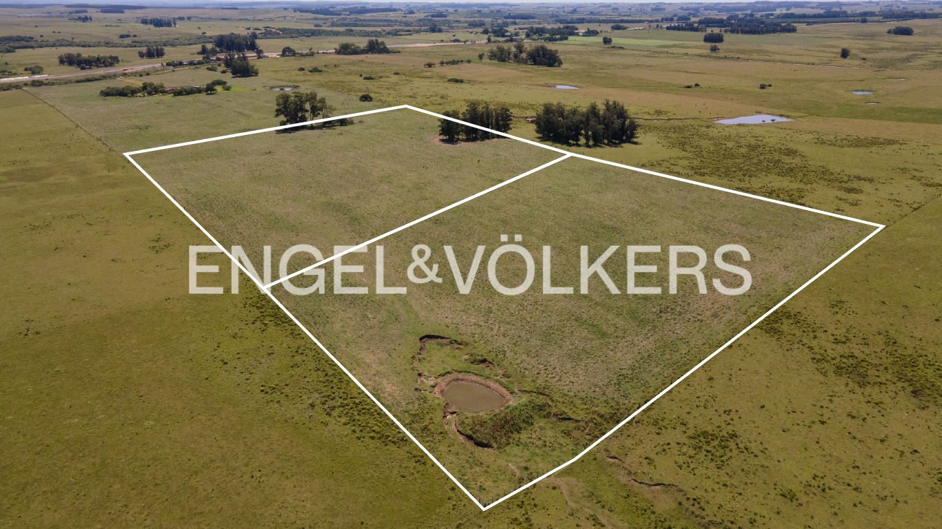 Beautiful 7ha finca just minutes away from José Ignacio