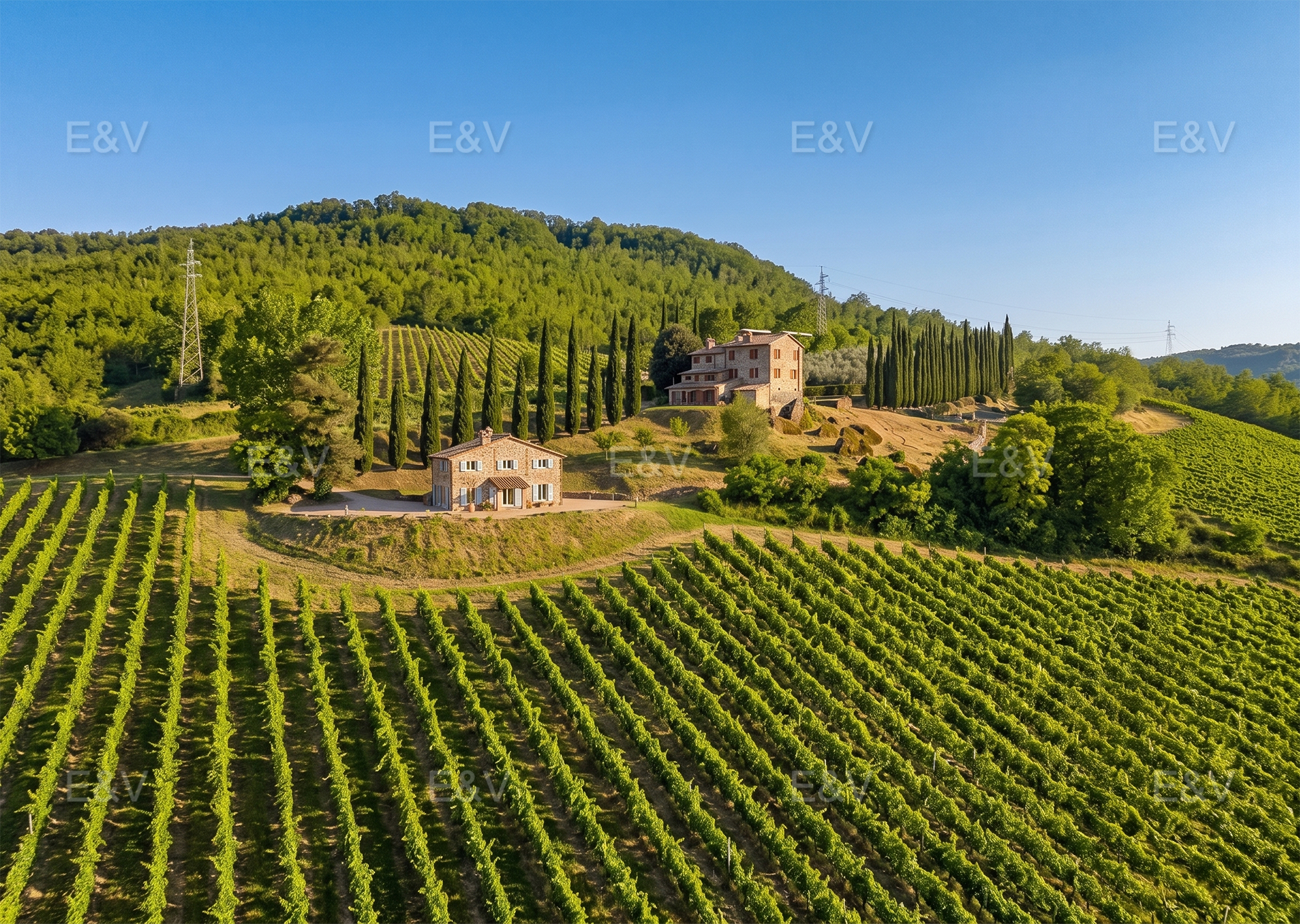 Prestigious estate with a winery and a view of Orvieto Cathedral