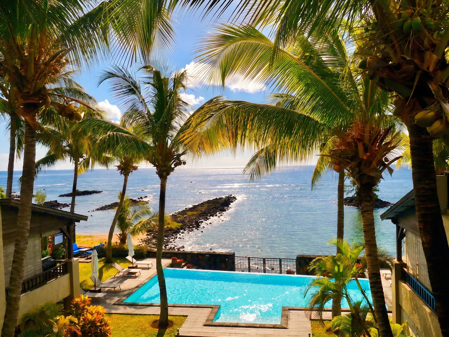 View of a turquoise pool and ocean framed by palm trees under a blue sky.