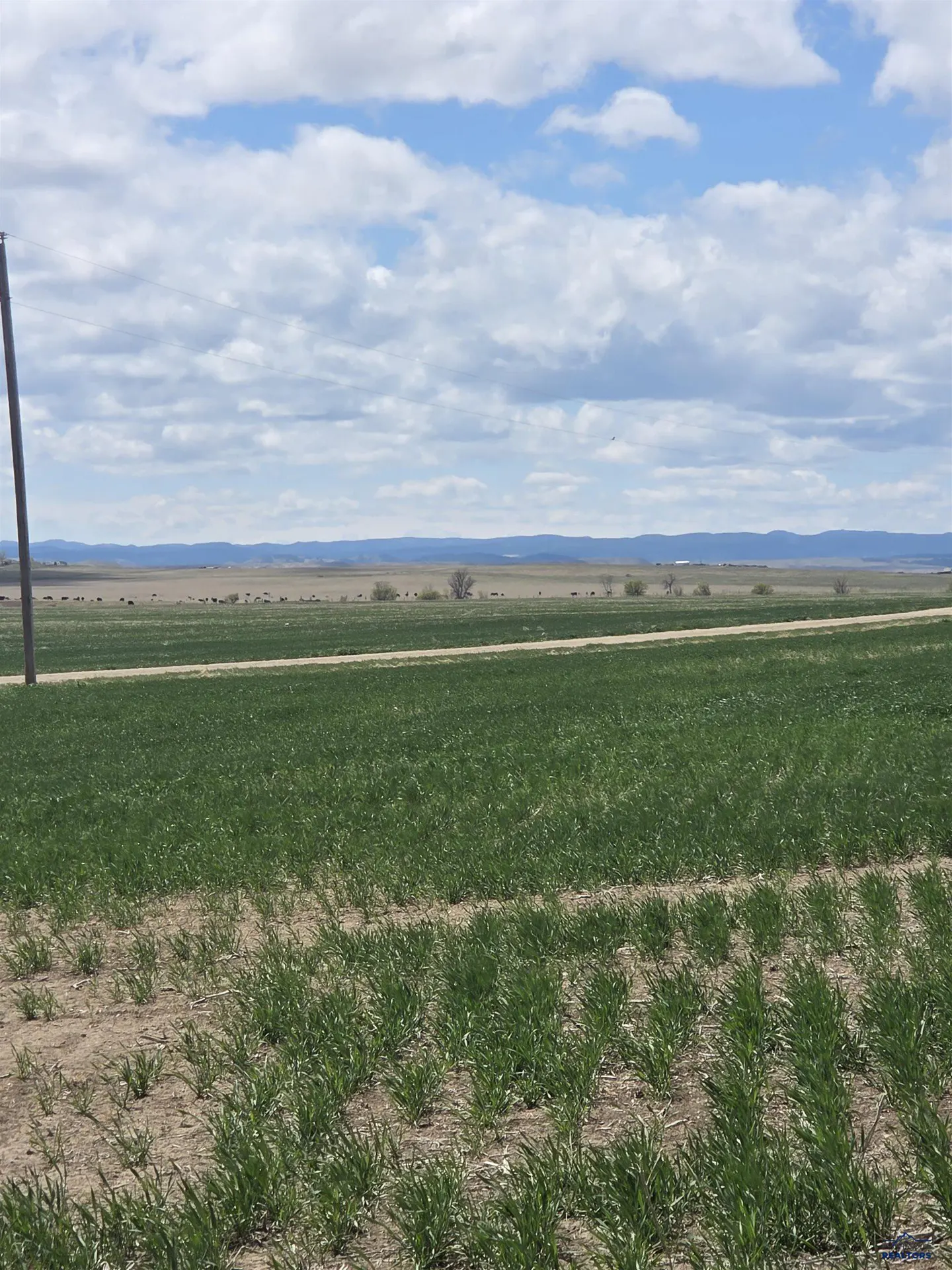 A green field under a blue sky with white clouds. A dirt road crosses the field. In the distance, there are hills.
