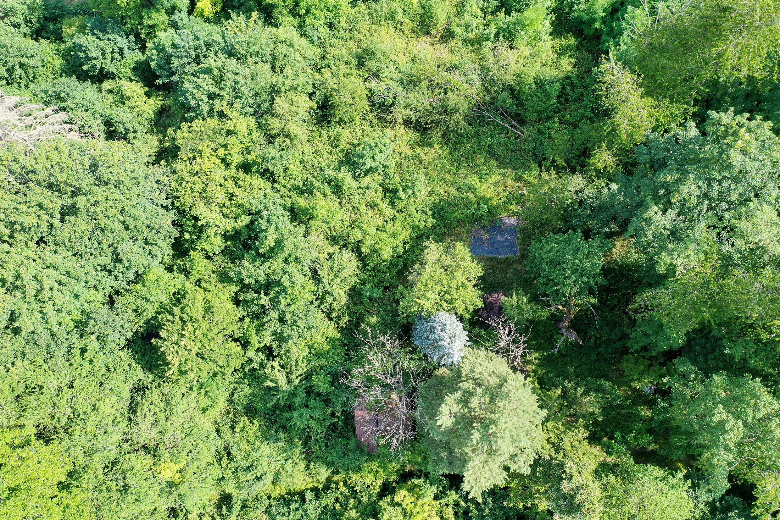 Grüne Ruheoase: Gartengrundstück mit altem Baumbestand und Gartenhäuschen