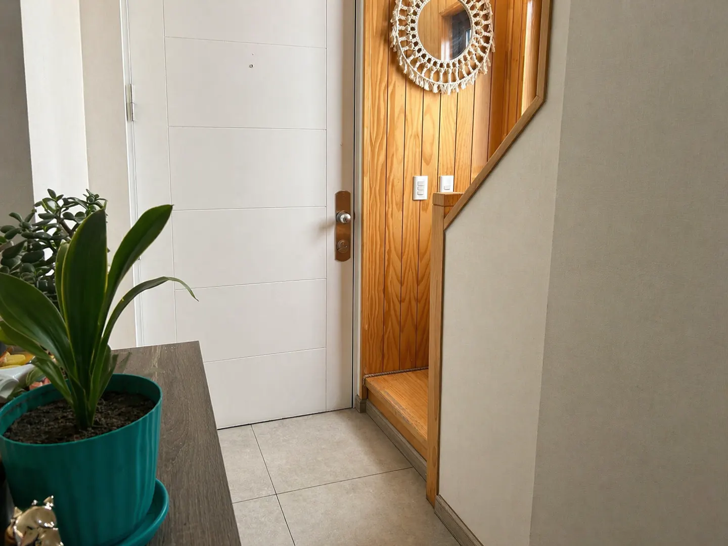 Entryway with a white door, a wooden door with a macrame mirror, and a green potted plant.