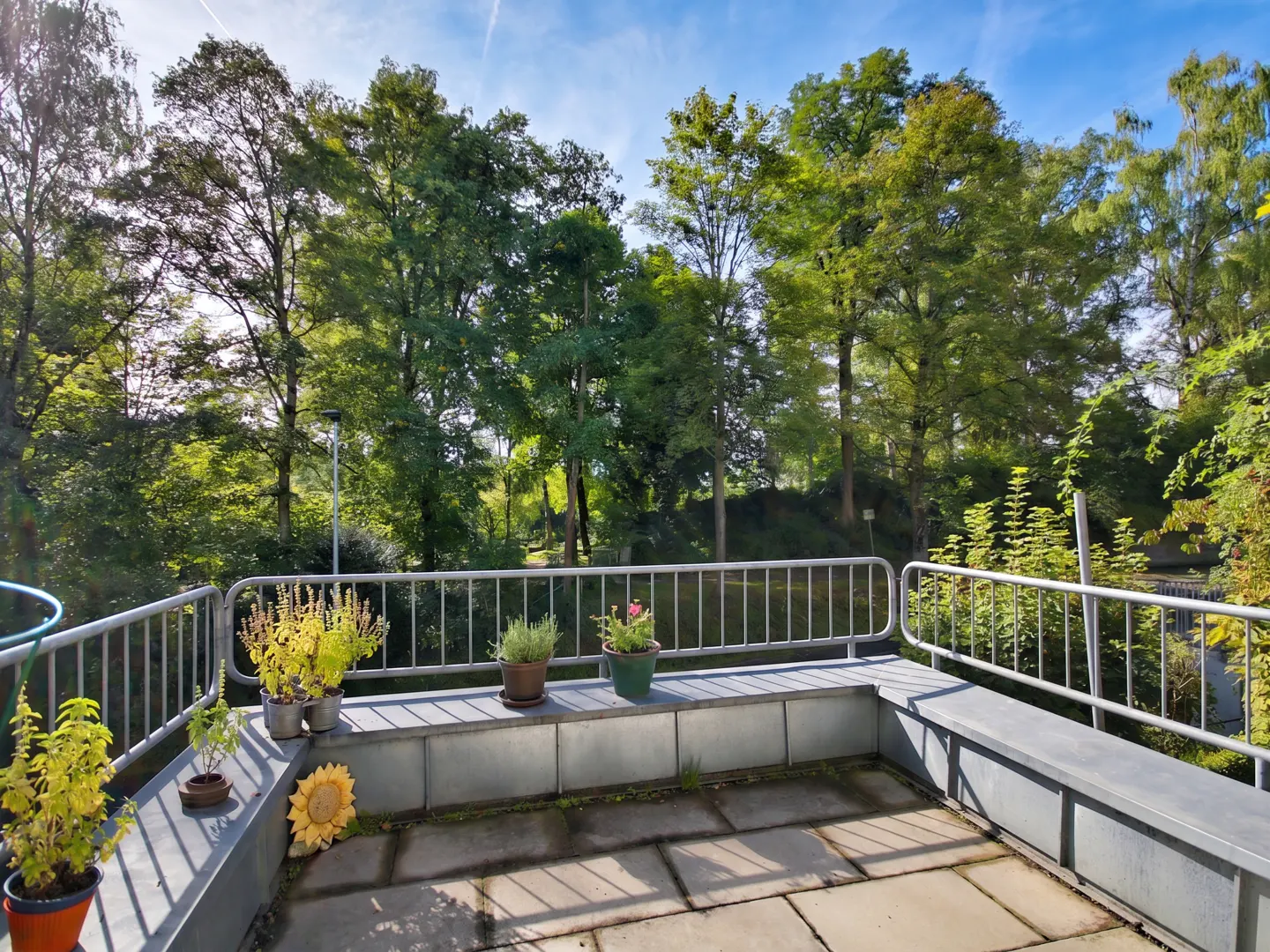 A sunny balcony with potted plants and a view of lush green trees under a blue sky.