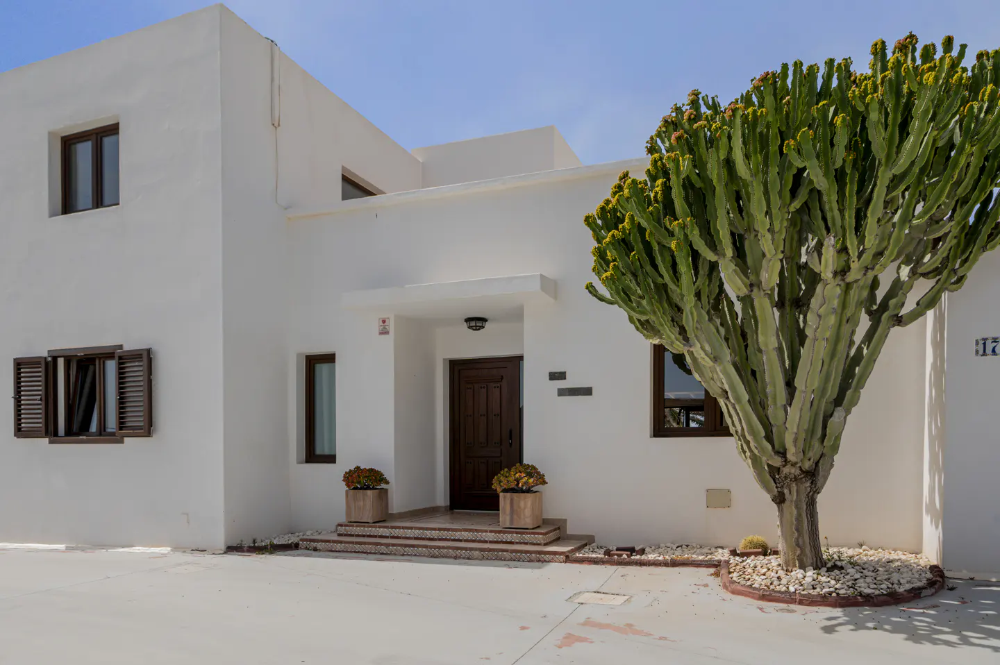 Modern white house with brown trim, a dark wood door, and a large green cactus on the right. Two potted plants flank the front steps.