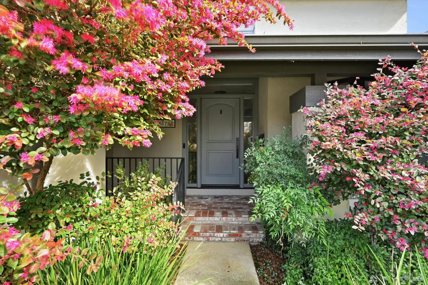 Front entrance of a house with a gray door, brick steps, and lush pink flowering bushes.