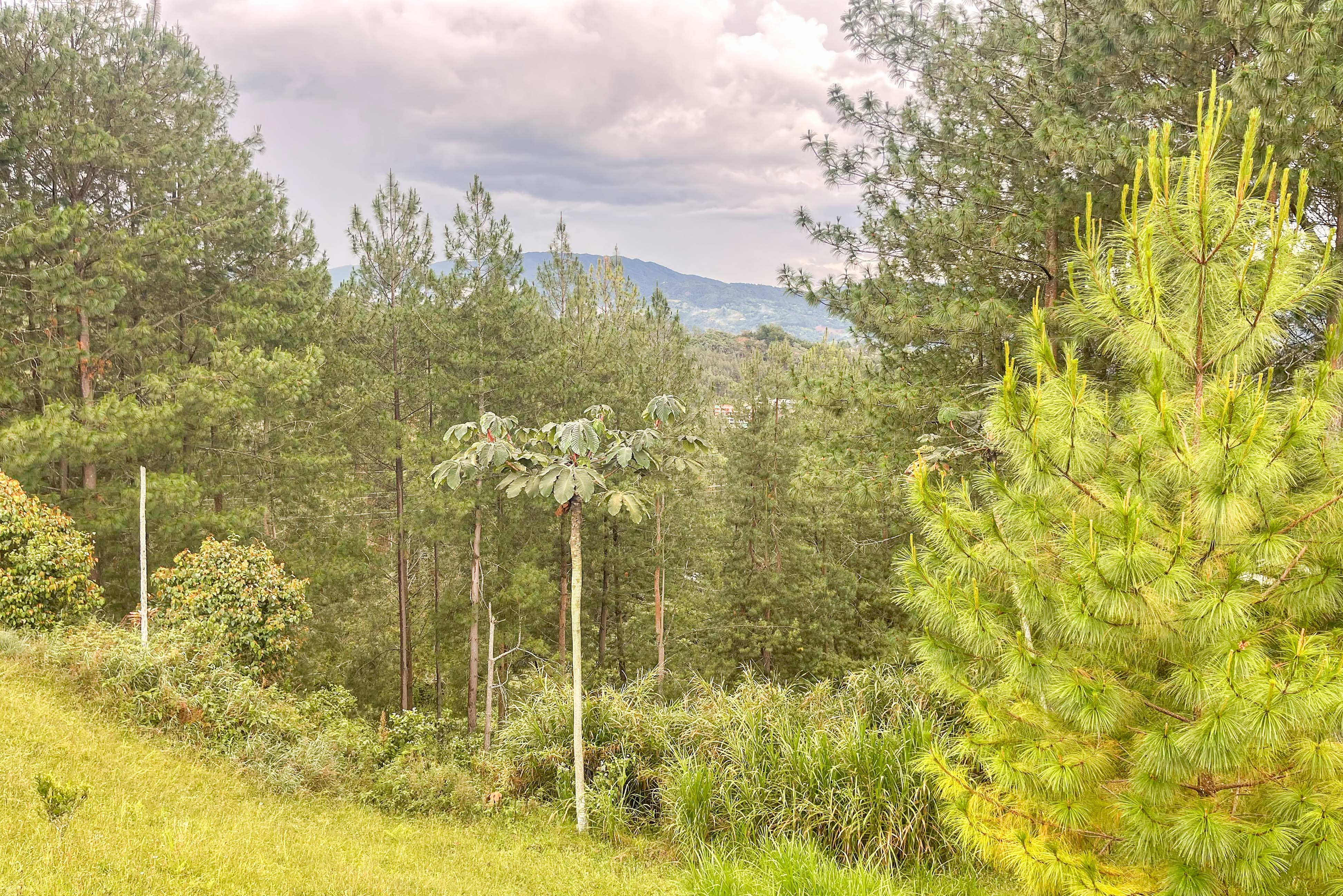 Lote con vista a represa La Fe para venta. Don Diego, El Retiro