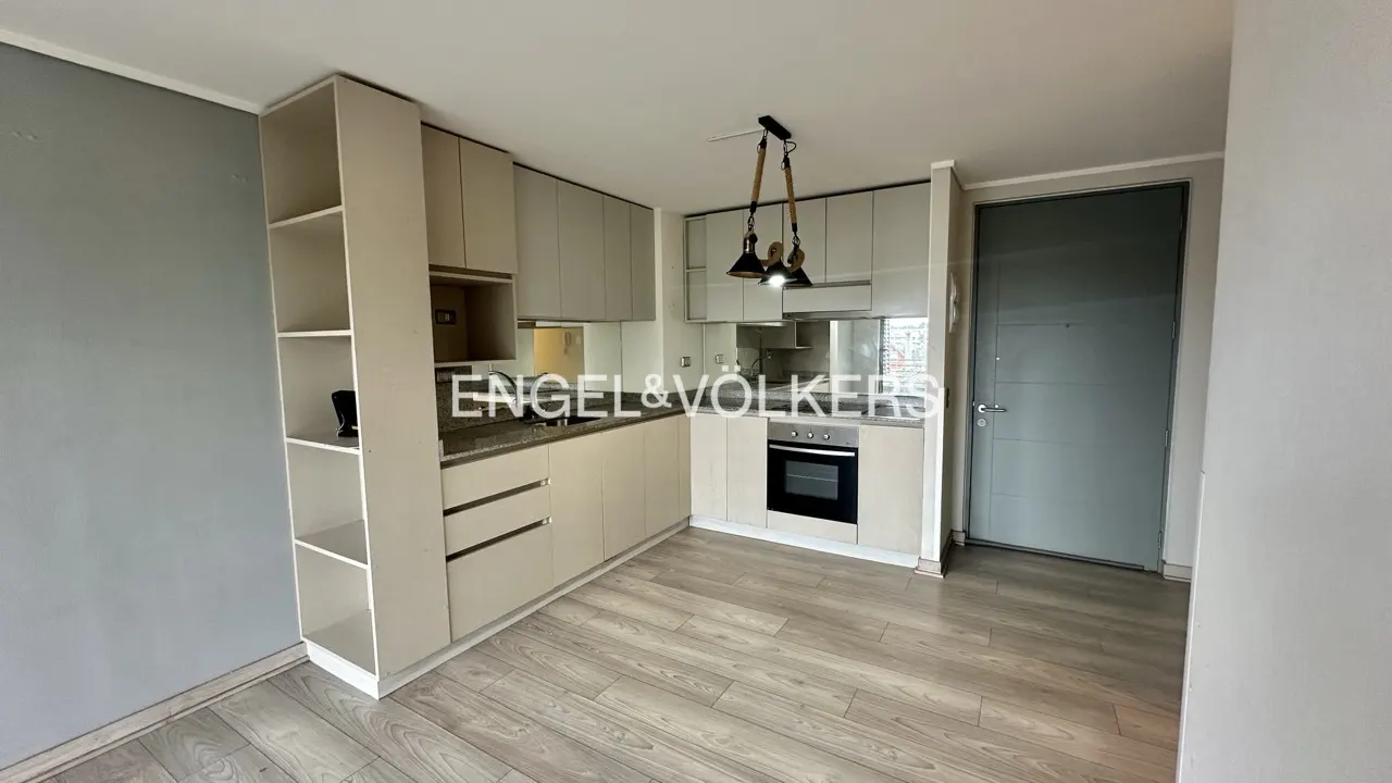 A modern kitchen with light wood floors, beige cabinets, and a gray door. A black pendant light hangs above the sink.