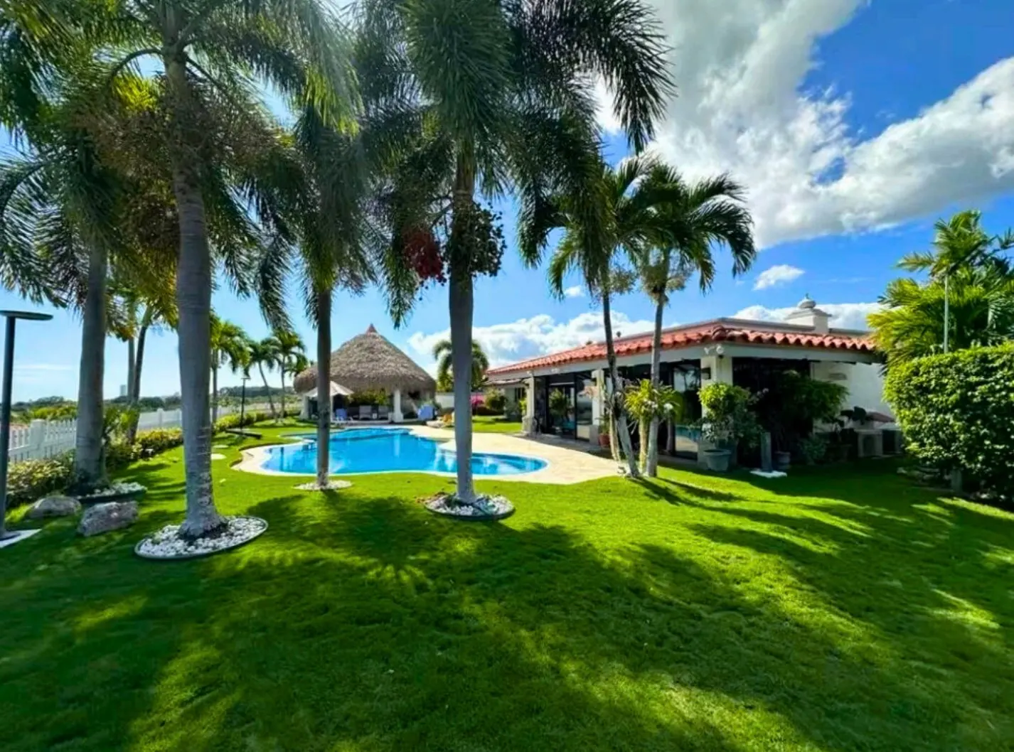 Lush green lawn with palm trees, a blue pool, and a thatched-roof gazebo next to a white house under a partly cloudy blue sky.
