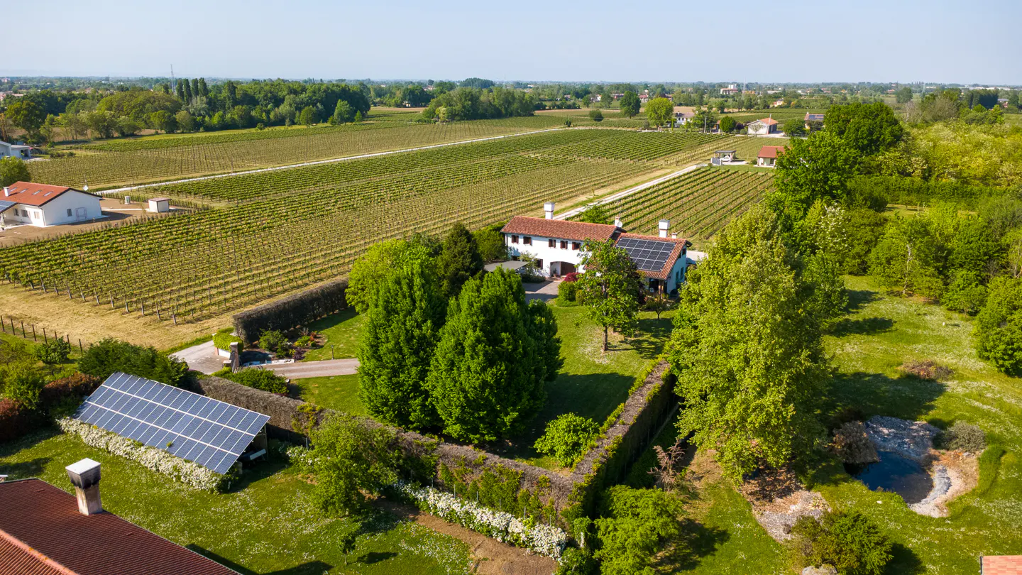 Aerial view of a white house with a red tile roof, surrounded by a vineyard and green trees on a sunny day. Solar panels are visible.