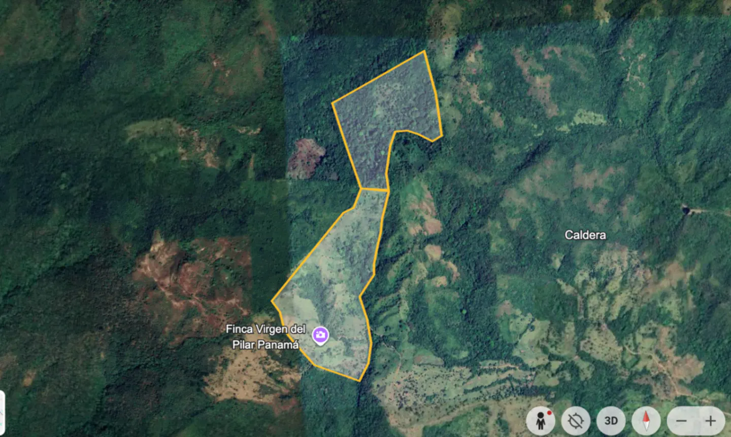 Satellite view of Finca Virgen del Pilar in Panama, showing a property outlined in yellow amidst a lush, green landscape.