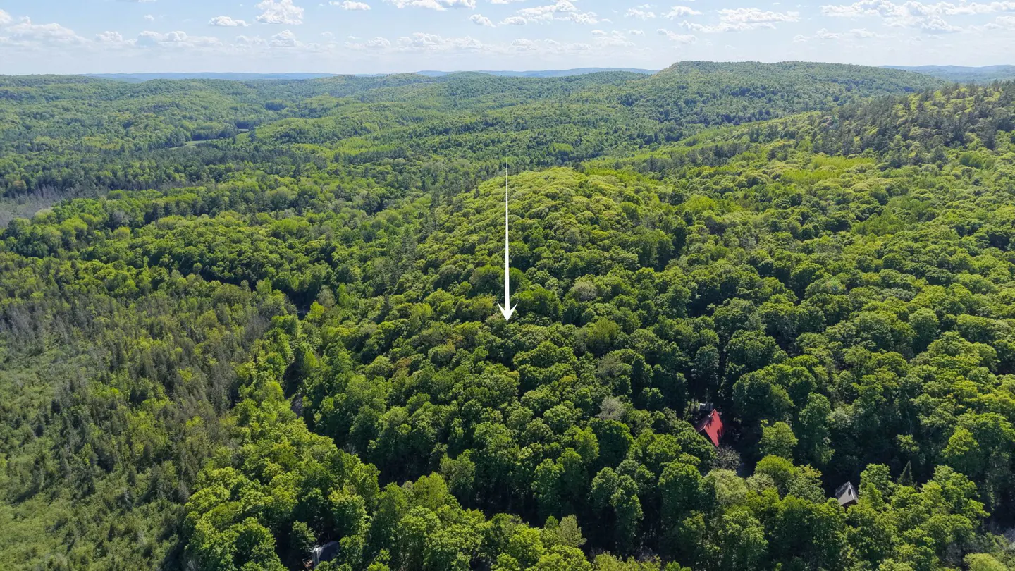 Aerial view of a dense green forest with a white arrow pointing to a specific location and a small house with a red roof.