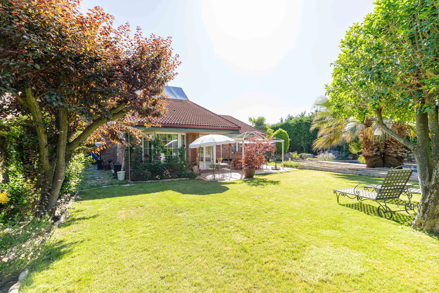 A sunny backyard with green grass, trees, and a patio with white umbrella. A lounge chair sits near a tree.